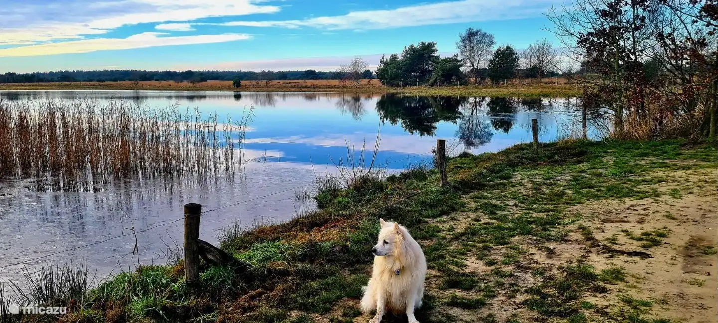 neu angelegter See auf 't Goor; in 10 Minuten mit dem Auto. Wunderbares Wandergebiet.