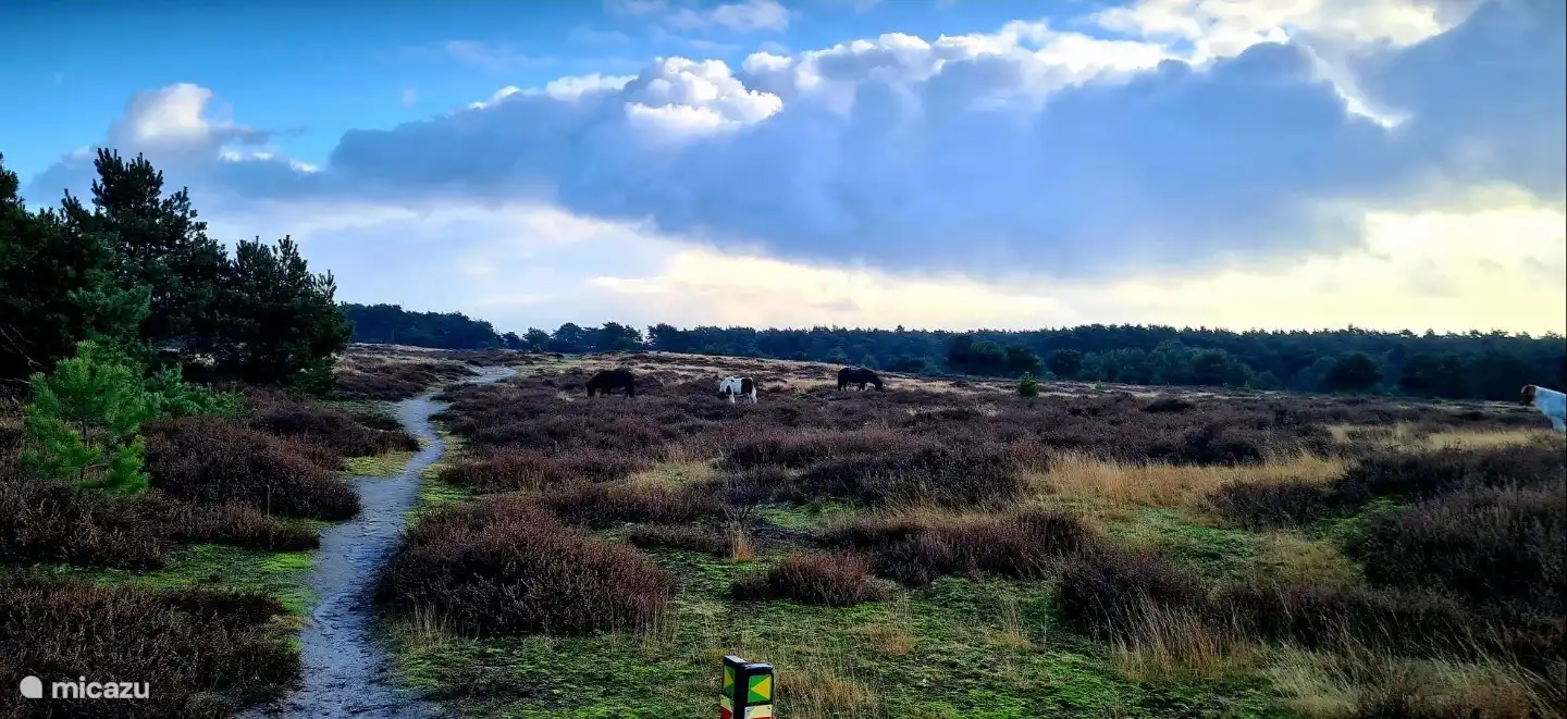 Sörendonks Goor. Schönes Wandergebiet 10 Minuten mit dem Auto.