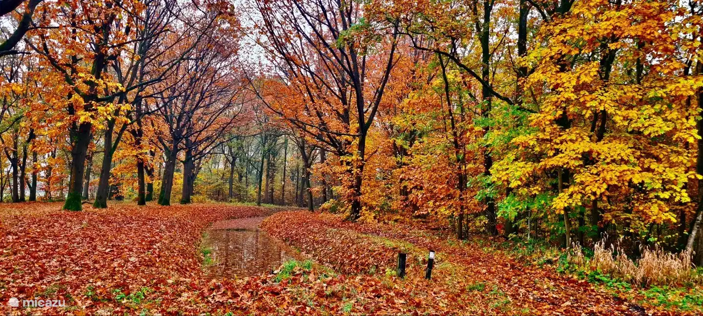 Builder Broek (zu Fuß erreichbar)