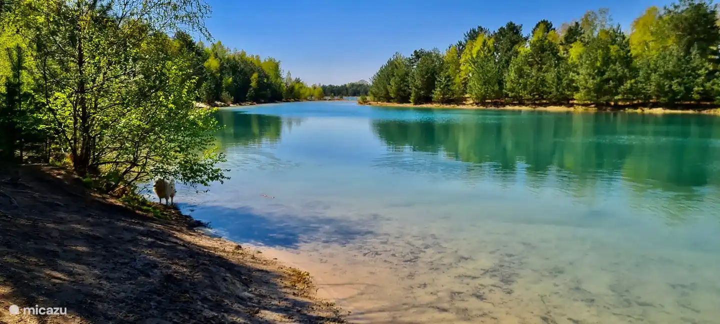 De Hoort (Loozerplas) in Budel-Dorplein
