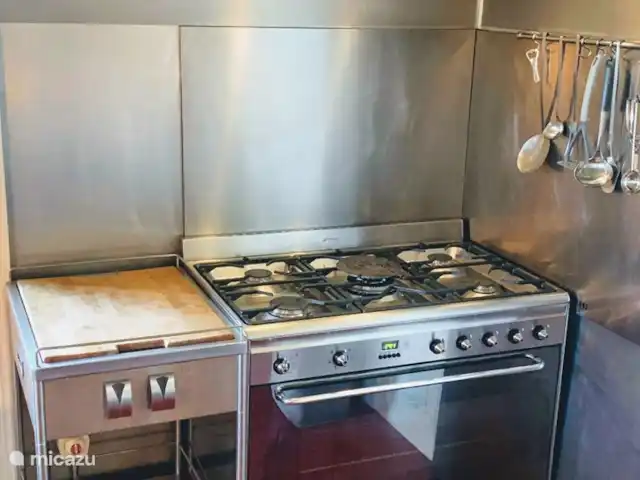 Château de la Combe huren in Frankrijk, Allier, La Celle - landhuis / kasteel Groot gasfornuis met electrische oven.