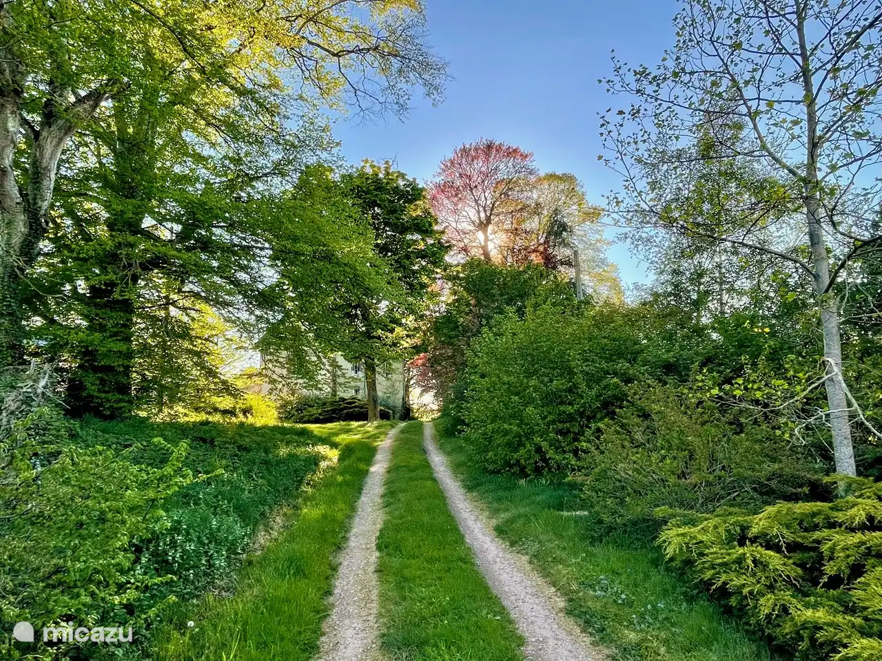 el camino de entrada