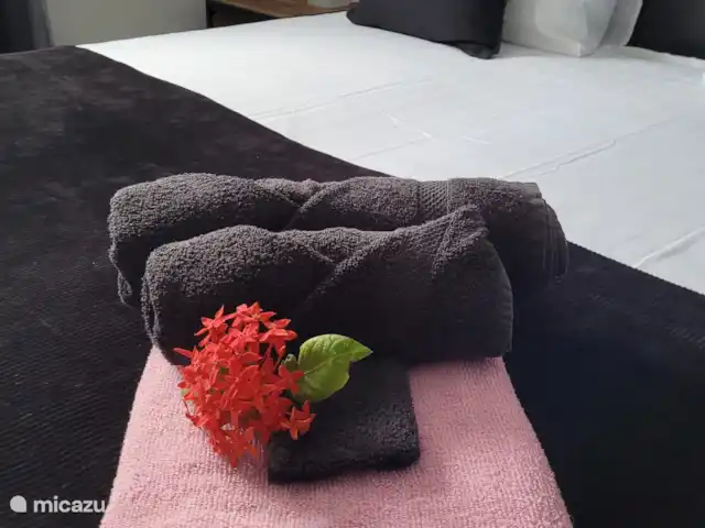Location de Vacances Curaçao, Curaçao-Centre, Santa Maria, bungalow - Bungalow La Villetta Curaçao Serviette de bain, serviette, gant de toilette et serviette de plage, tout est prêt pour votre séjour