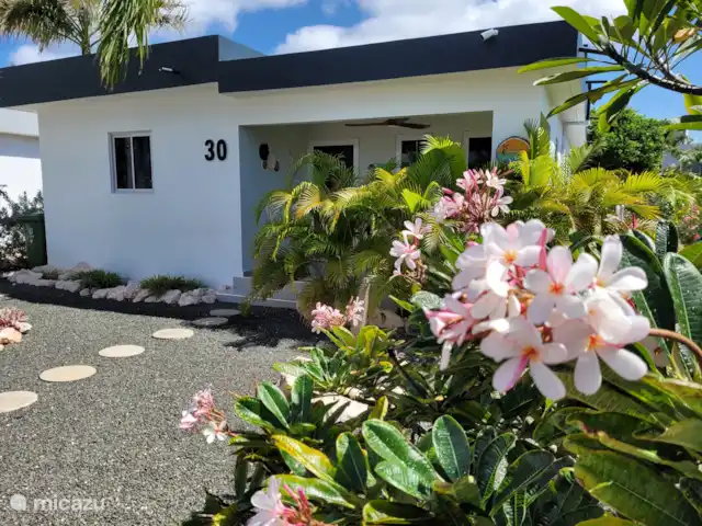 Location de Vacances Curaçao, Curaçao-Centre, Santa Maria, bungalow - Bungalow La Villetta Curaçao Location de Vacances Curaçao, Curaçao-Centre, Santa Maria, bungalow - Bungalow La Villetta Curaçao