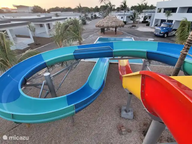 Location de Vacances Curaçao, Curaçao-Centre, Santa Maria, bungalow - Bungalow La Villetta Curaçao loupe nageant