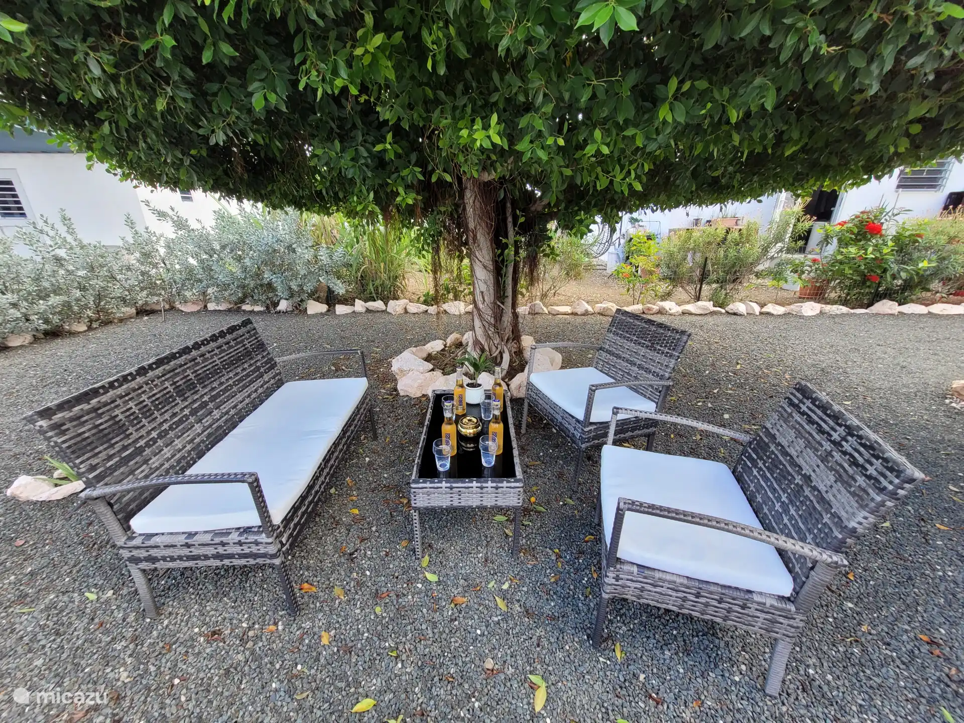 Profitez d’une boisson et d’une collation après une journée ensoleillée