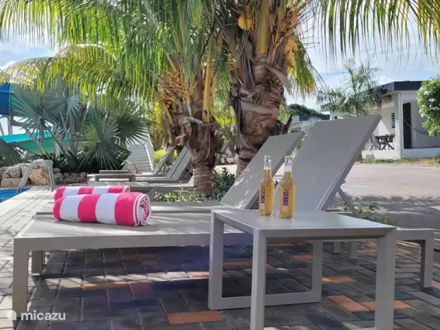 Location de Vacances Curaçao, Curaçao-Centre, Santa Maria, bungalow - Bungalow La Villetta Curaçao Se détendre sous les palmiers