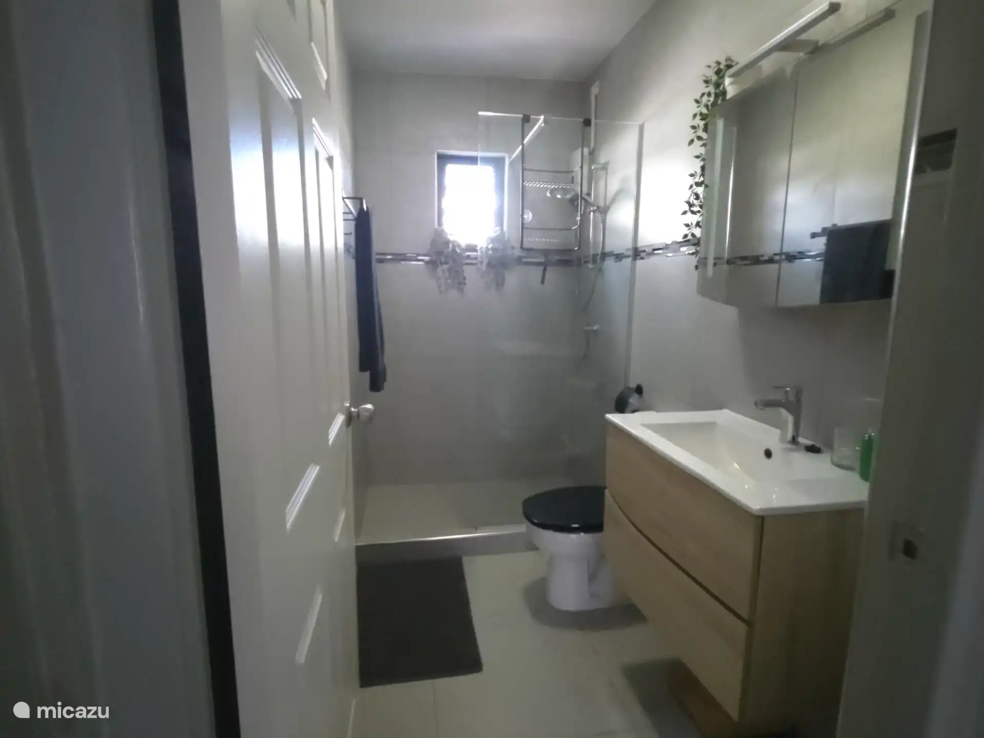 Badkamer met inloop douche, wastafelmeubel met lades en spiegel meubel