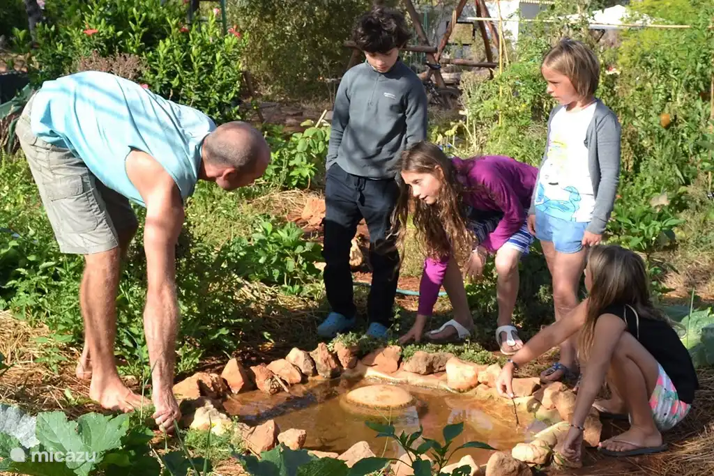 Der Bio-Gemüsegarten