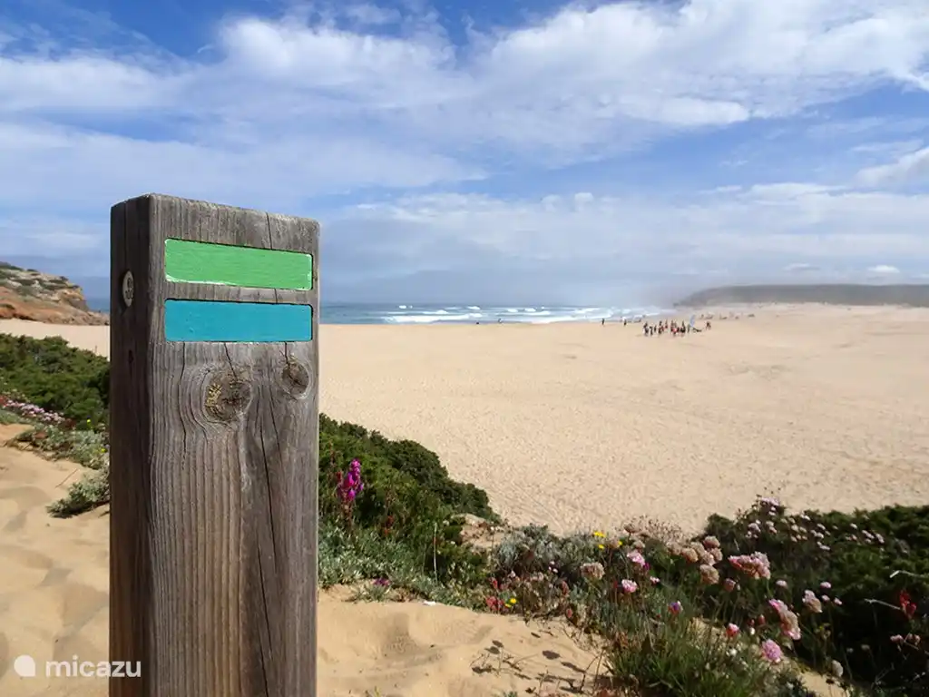 In der Umgebung gibt es viele markierte Wanderwege