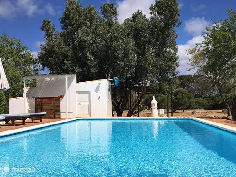 Vakantiehuis Portugal, Algarve, Lagos Pension / Guesthouse / Privékamer Monte Rosa - Kamer met Buitenkeuken