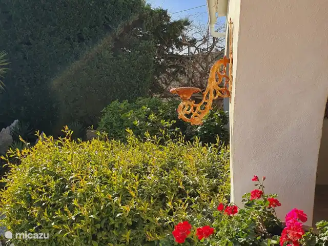Finca los Bancales | Espagne, Costa Blanca, Benissa - finca finca
