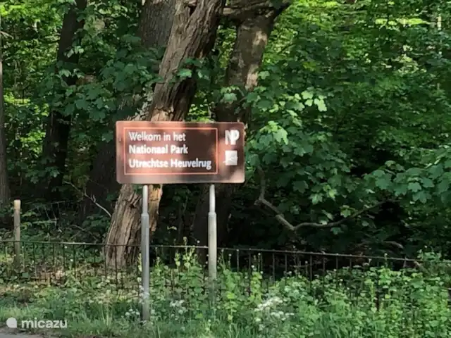 Boslook en Países Bajos, Utrecht, Doorn - chalet Parque Nacional Utrechtse Heuvelrug