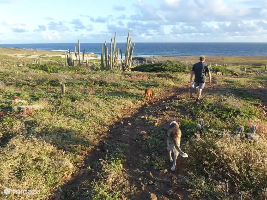 Beautiful hikes from our house