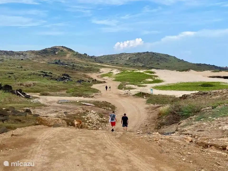 Beautiful hikes from our house