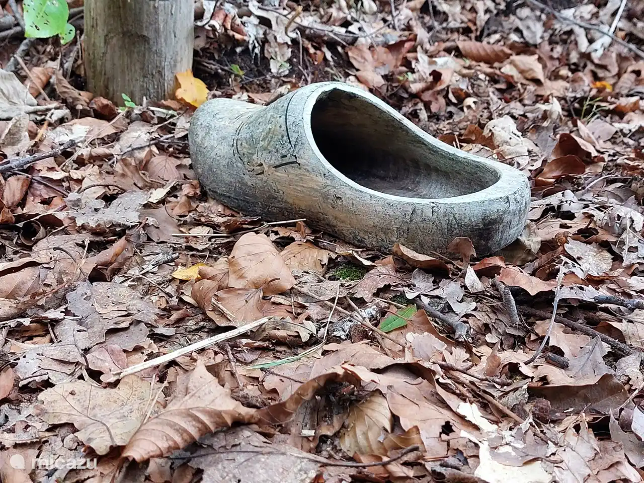 Gehen Sie in die Gegend und gehen Sie auf einem der schönen Holzschuhpfade spazieren.