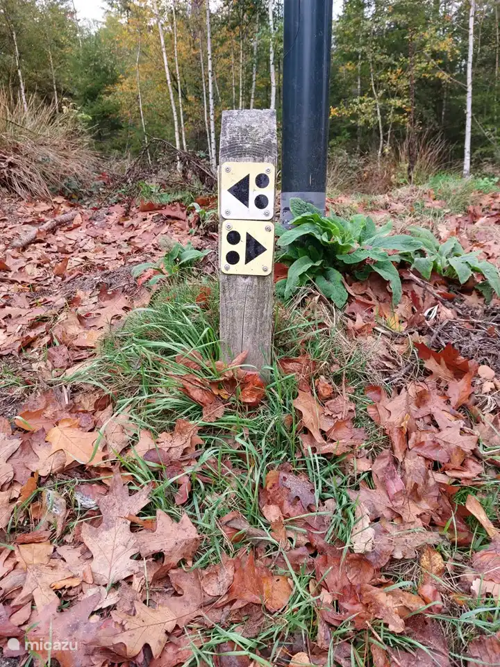 Oder kommen Sie mit dem Fahrrad (oder leihen Sie sich eines) und radeln Sie eine der herausfordernden Mountainbike-Strecken.