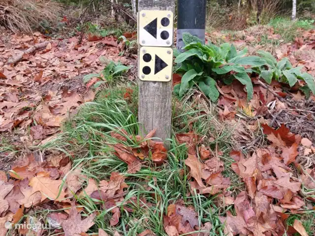Chalet Veluws Profitez | Pays-Bas, Gueldre, Beekbergen - chalet Ou venez en vélo (ou en louer un) et parcourez l'un des sentiers de vélo de montagne difficiles.