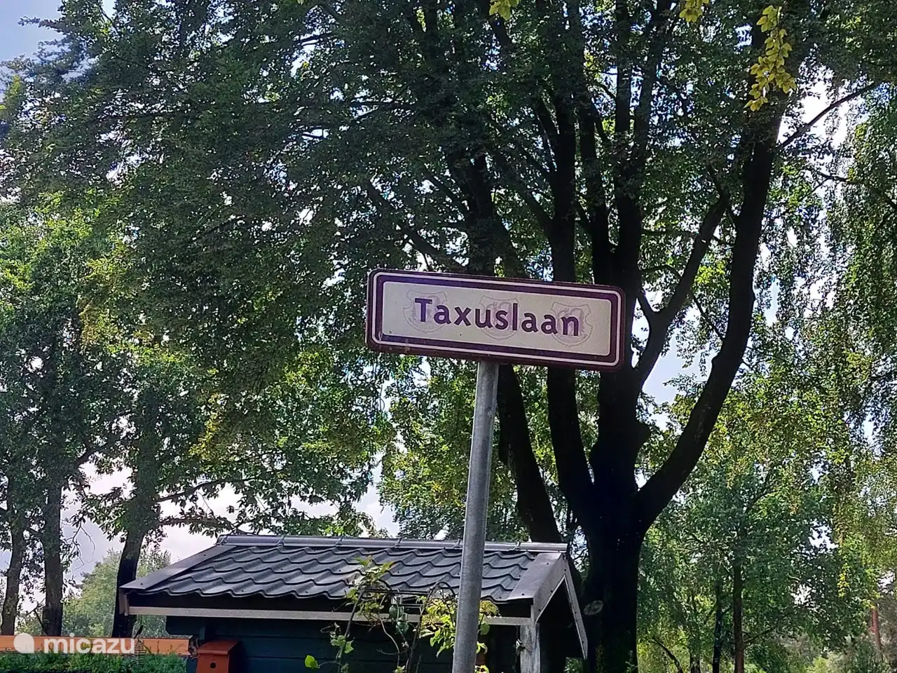 Unser Chalet befindet sich an der Nummer 263 an der Taxuslaan.