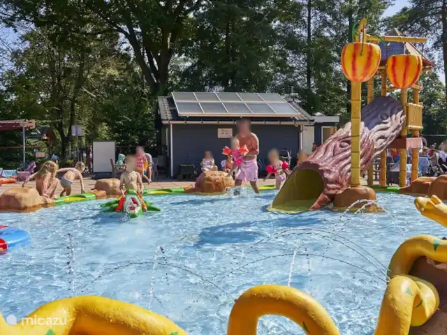 Chalet Veluws Profitez | Pays-Bas, Gueldre, Beekbergen - chalet Il y a aussi une belle piscine pour les plus petits pour beaucoup de plaisir.