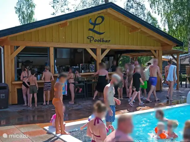 Chalet Veluws Profitez | Pays-Bas, Gueldre, Beekbergen - chalet Savourez une collation, une boisson ou un cocktail d'été au bar de la piscine.