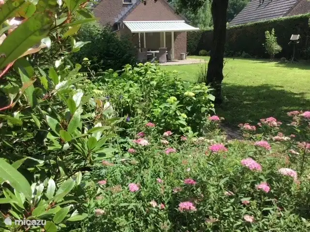 Location de Vacances Pays-Bas, Gueldre, Ewijk, bungalow - Collines vertes