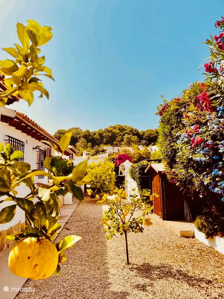 Blumenmeer rund um die Villa.