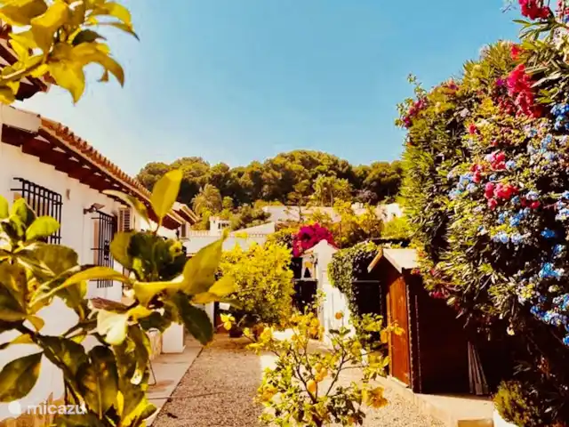 Luxury Lounge Villa Moraira Beach huren in Spanje, Costa Blanca, Moraira - villa Bloemenzee rondom de villa.