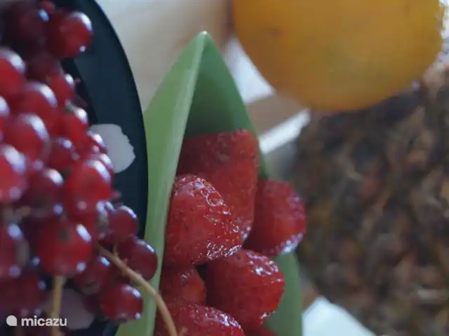 Breakfast at Carin's huren in Nederland, Zeeland, Vlissingen - penthouse Fruit bij ontbijt