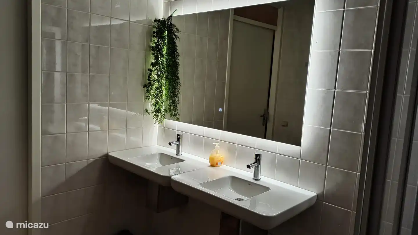 Salle de bain avec double vasque