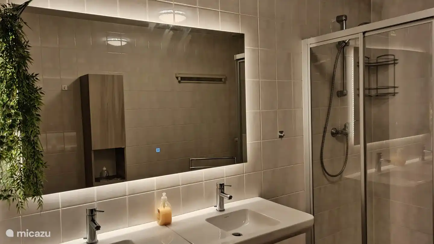 Salle de bain avec douche pluie