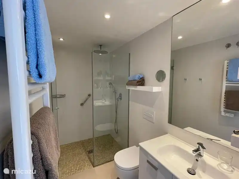 Das Duschbad verfügt über eine geräumige begehbare Dusche.