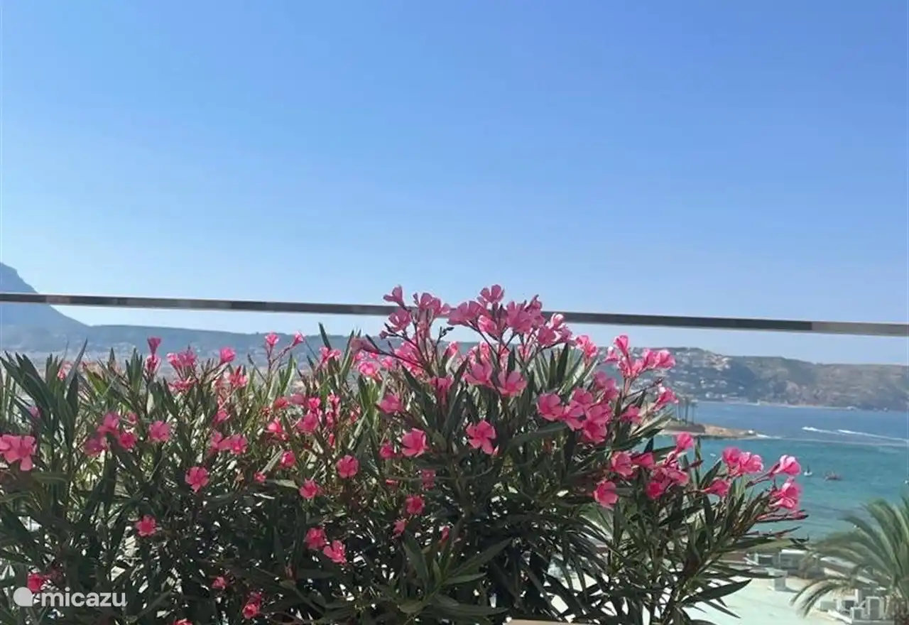 Blick von der Lounge auf Strand und Bucht.