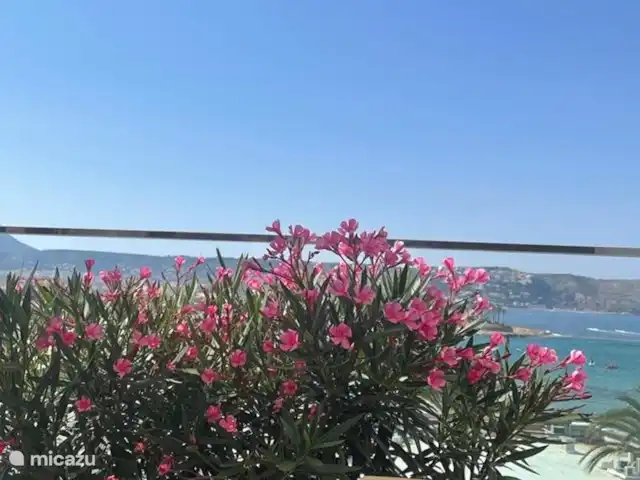 PENTHOUSE AAN DE BEACH huren in Spanje, Costa Blanca, Jávea - appartement Uitzicht vanuit lounge op strand en baai.