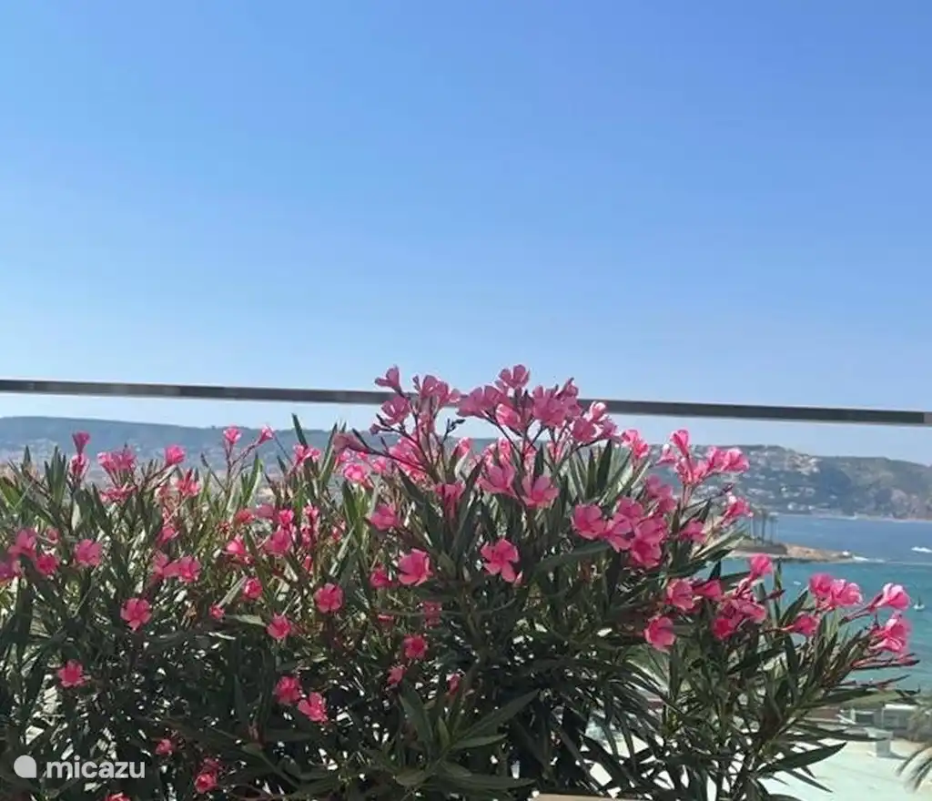 PENTHOUSE AAN HET STRAND