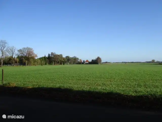 Maison forestière n° 8 | Pays-Bas, Groningue, Marum - chalet