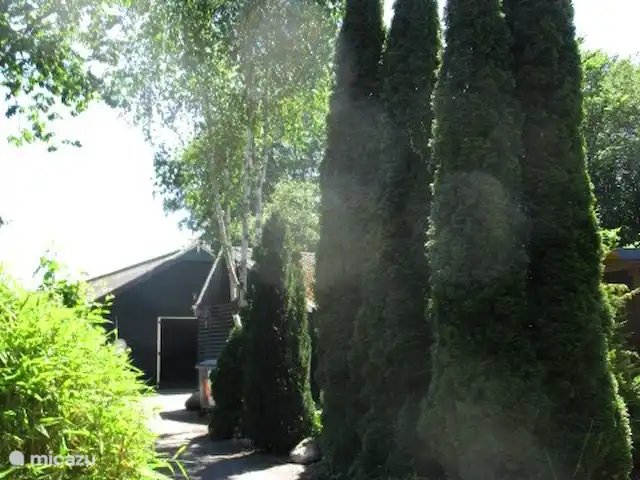 Maison forestière n° 8 | Pays-Bas, Groningue, Marum - chalet