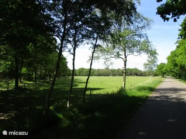 Maison forestière n° 8 | Pays-Bas, Groningue, Marum - chalet