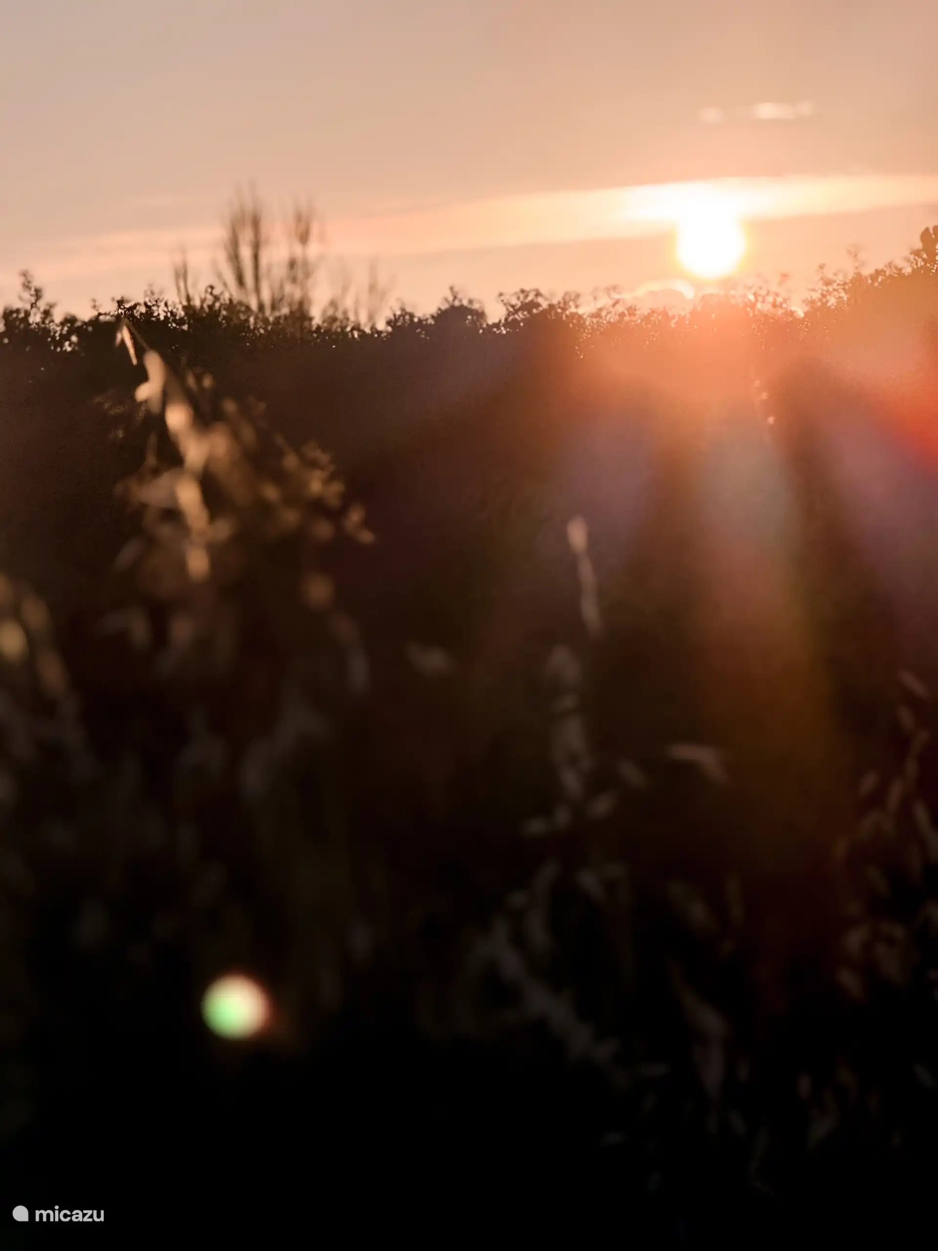 Mooie zonsondergang