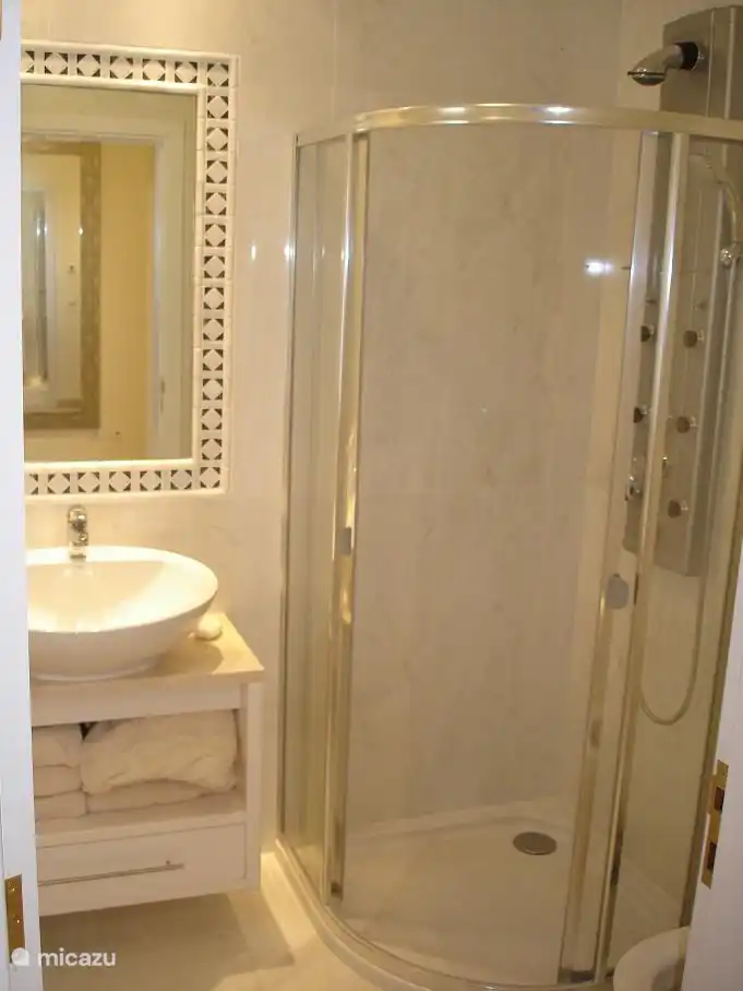 Aparte badkamer met massagedouche en toilet.