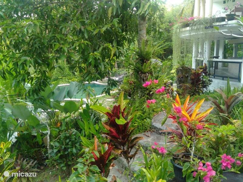 Vakantiehuis Indonesië, Bali, Lalanginggah Pension / Guesthouse / Privékamer Balian Bliss Single bedroom SPA - A