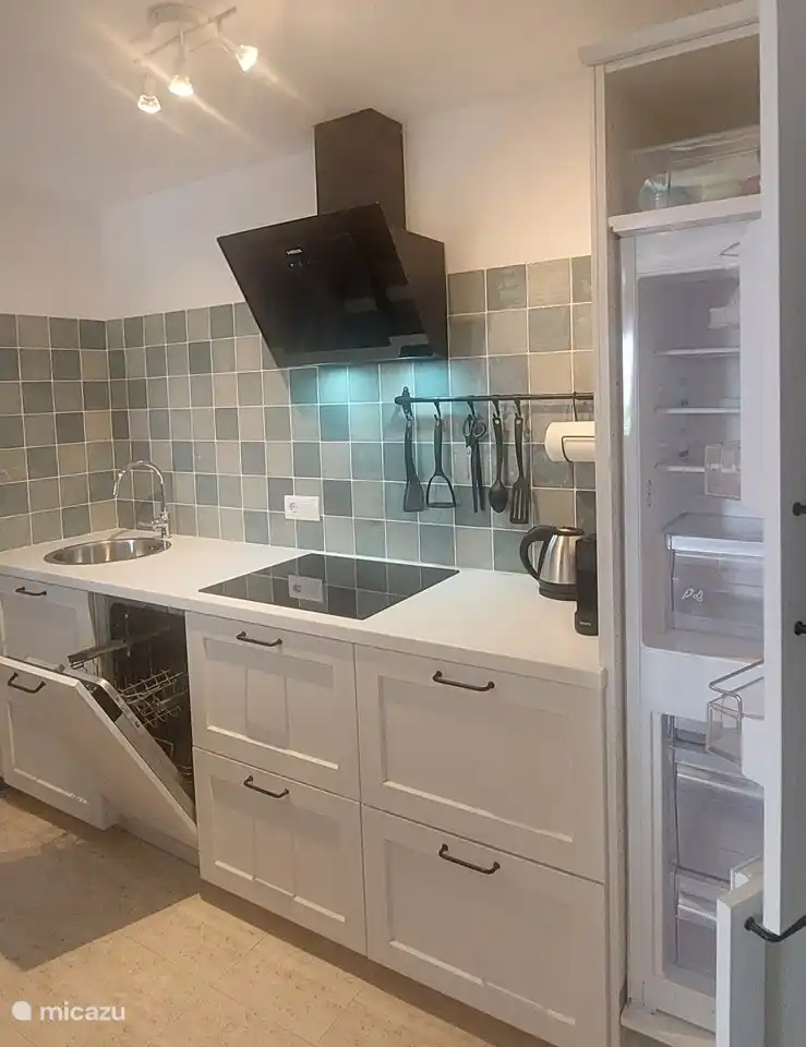 Küche mit Induktionskochfeld, Dunstabzugshaube, Geschirrspüler und Kühl- und Gefrierschrank.