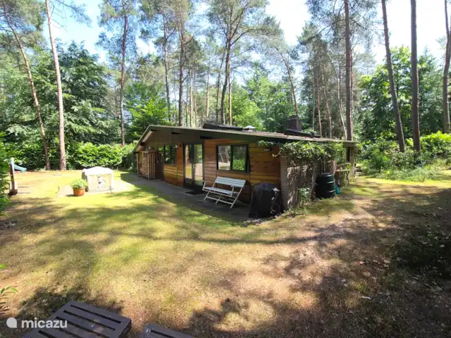 vakantiehuis huren in Nederland, Overijssel, Giethmen – Vakantiehuisje in Giethmen Zicht op achterkant huis en zijkant