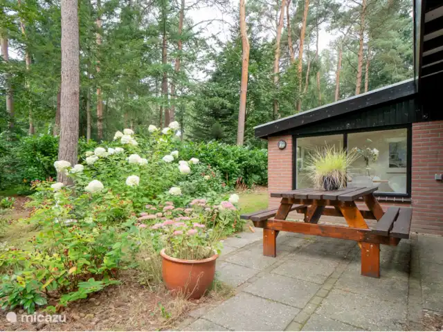 vakantiehuis huren in Nederland, Overijssel, Giethmen – Vakantiehuisje in Giethmen Zij-aanzicht huis met picknicktafel