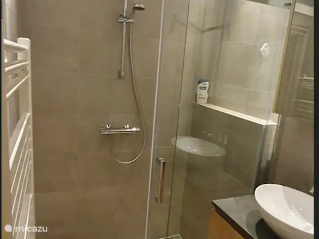 vakantiehuis huren in Nederland, Overijssel, Giethmen – Vakantiehuisje in Giethmen Kleine maar zeer nette in april 2023 gerenoveerde badkamer