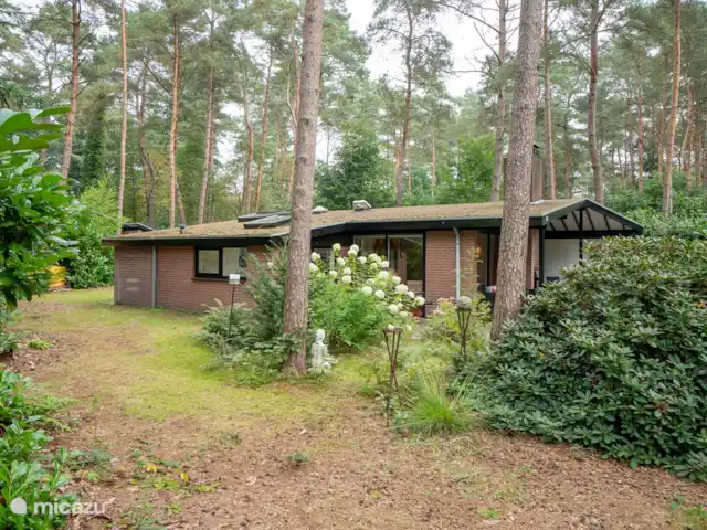 vakantiehuis huren in Nederland, Overijssel, Giethmen – Vakantiehuisje in Giethmen Zijkant huis met omliggende tuin