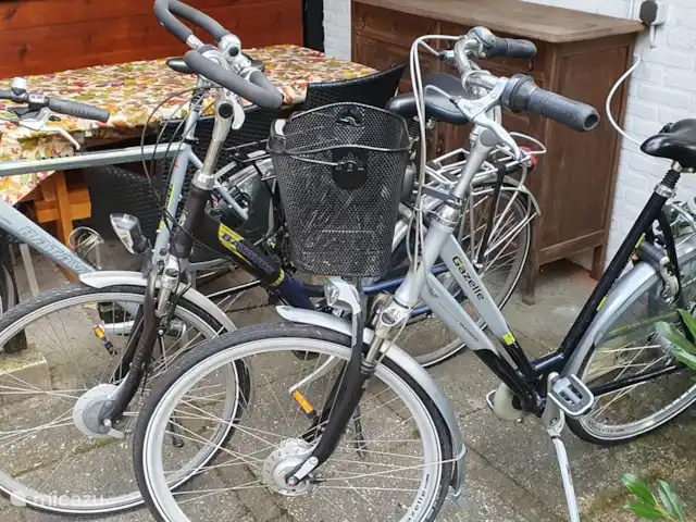 vakantiehuis huren in Nederland, Overijssel, Giethmen – Vakantiehuisje in Giethmen 3 gratis te gebruiken fietsen (voor volwassenen - 2 dames-/ 1 herenfiets)