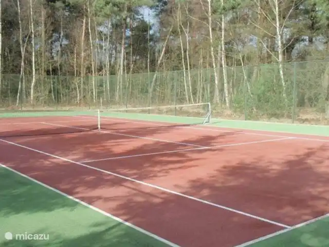 vakantiehuis huren in Nederland, Overijssel, Giethmen – Vakantiehuisje in Giethmen 1 hardcore tennisbaan beschikbaar in het park - gratis te gebruiken door gasten