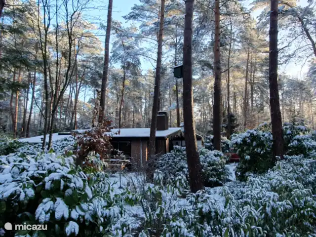 vakantiehuis huren in Nederland, Overijssel, Giethmen – Vakantiehuisje in Giethmen 11 maart 2023 - nog een beetje 'wit' voor de lente begint