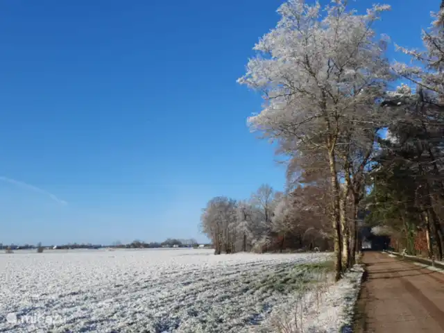 vakantiehuis huren in Nederland, Overijssel, Giethmen – Vakantiehuisje in Giethmen 11 maart - Hogeveldsweg, weg naar het park